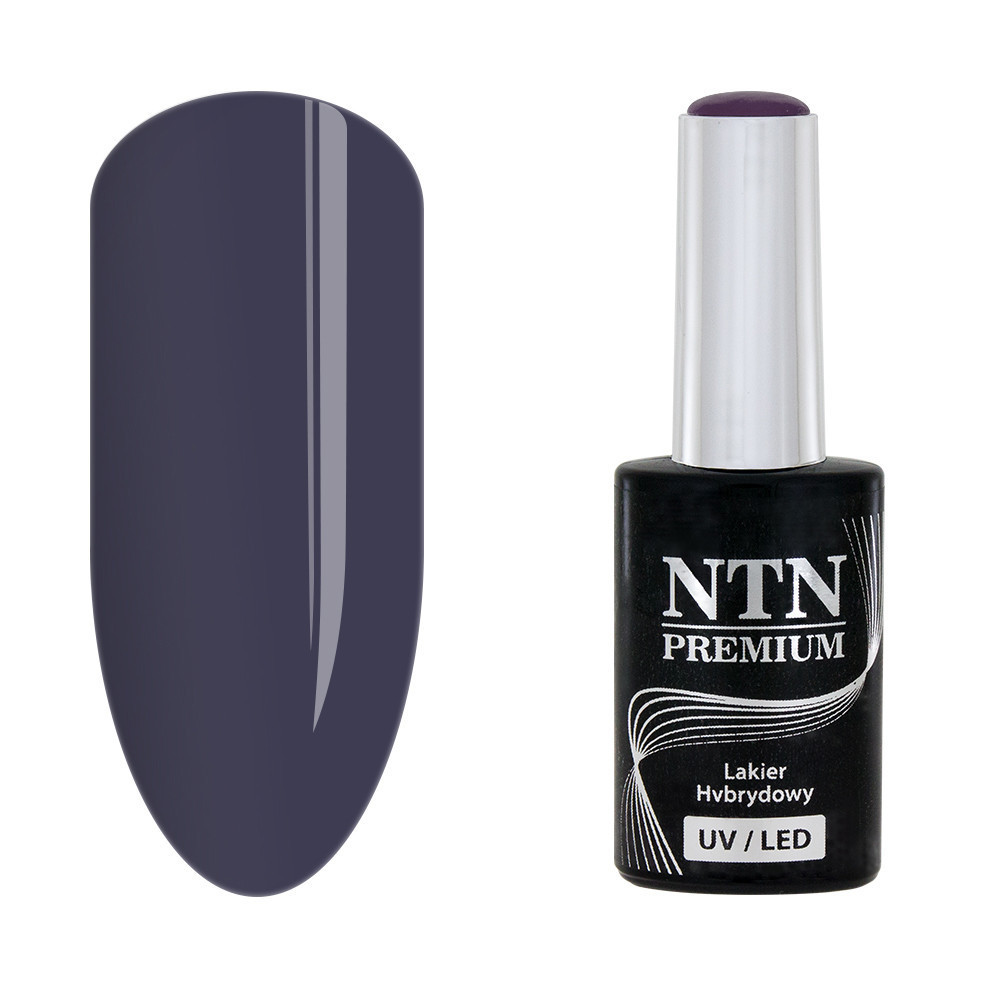 NTN Premium 99