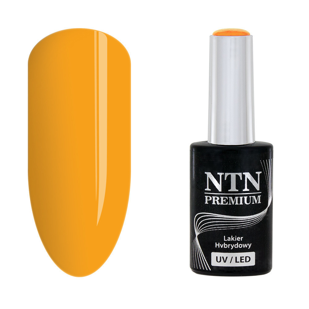 NTN Premium 84