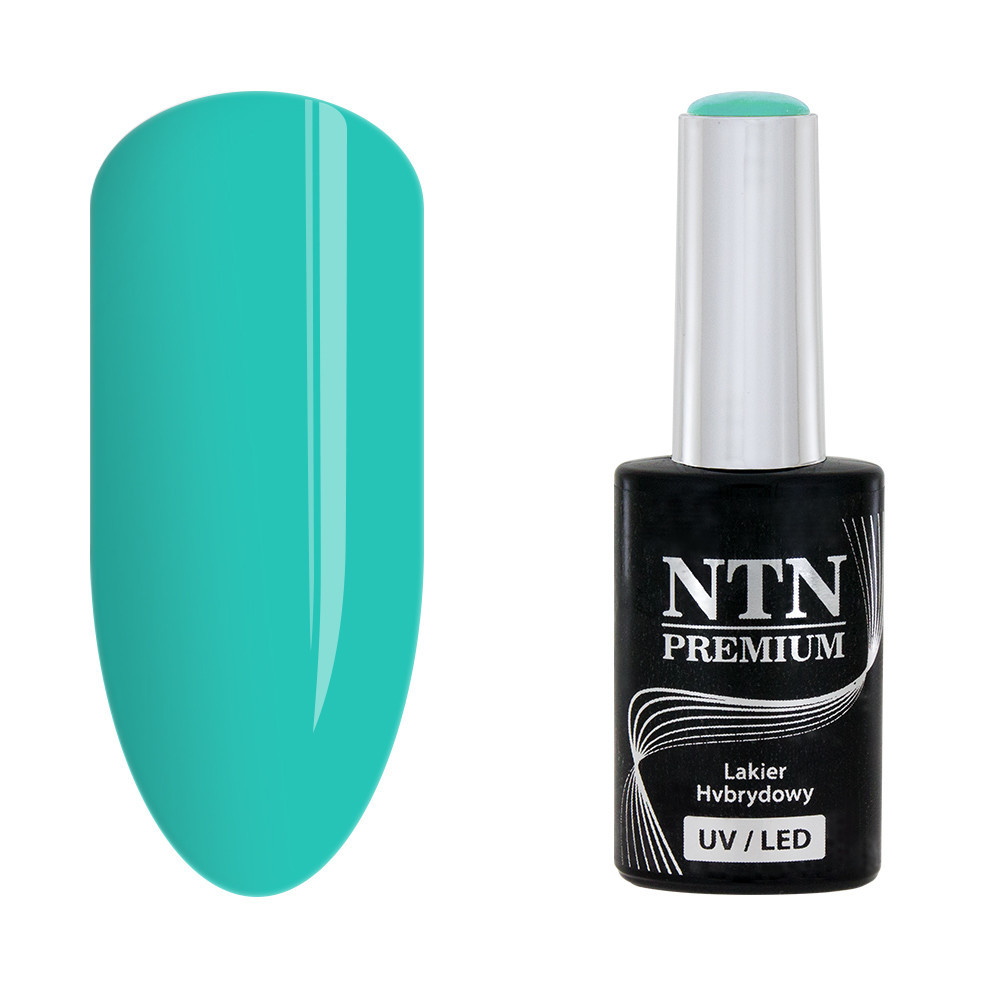 NTN Premium 137