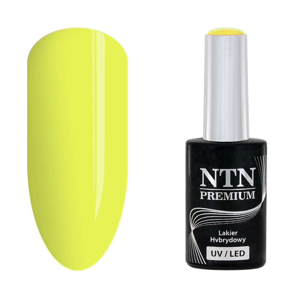 NTN Premium 144