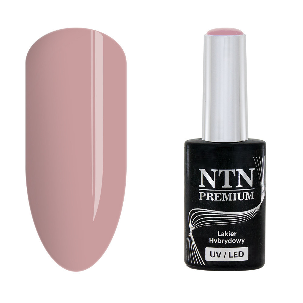NTN Premium 34